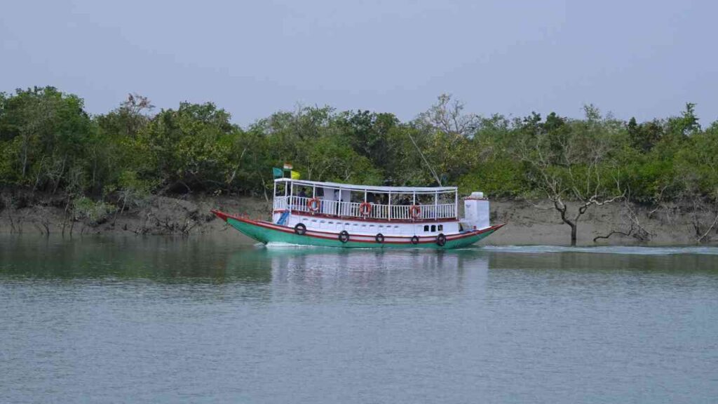 Tourists enjoying a boat ride in the Sundarban forest river with dense greenery on both sides