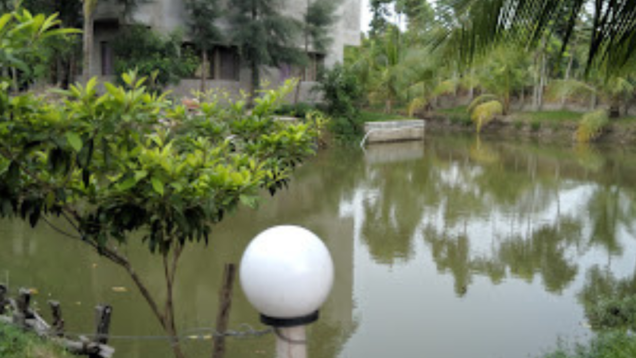 s2 hotel pond